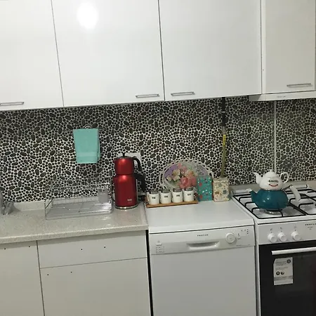 Elite Apartment *